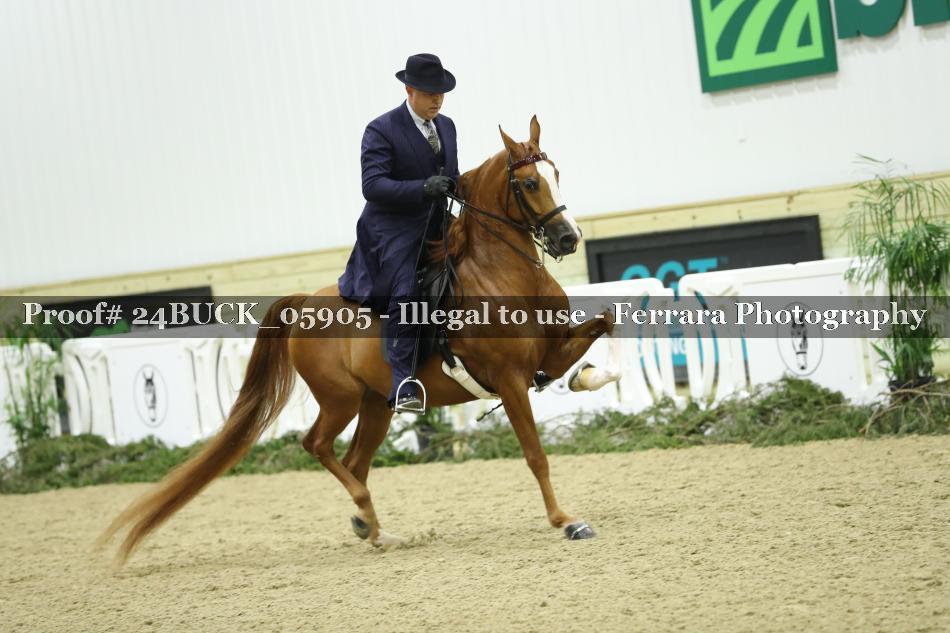 Proof 24BUCK_05905