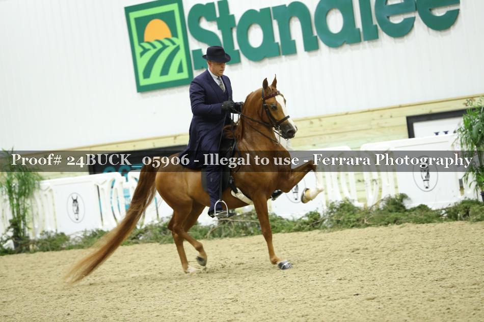Proof 24BUCK_05906