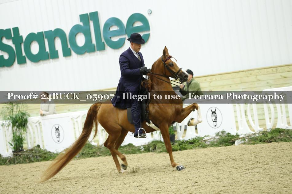 Proof 24BUCK_05907