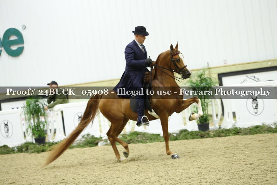 Proof 24BUCK_05908