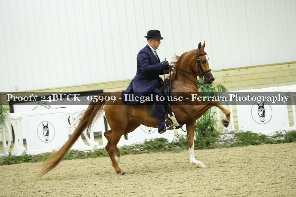 Proof 24BUCK_05909