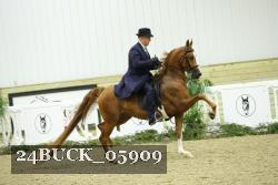 24BUCK_05909 proof