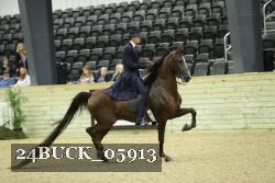 24BUCK_05913 proof