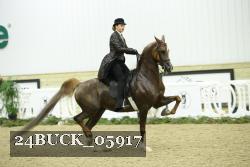 24BUCK_05917 proof