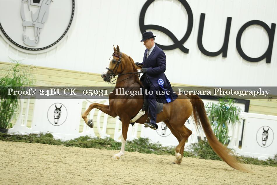 Proof 24BUCK_05931