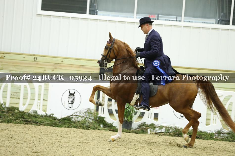 Proof 24BUCK_05934