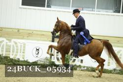 24BUCK_05934 proof