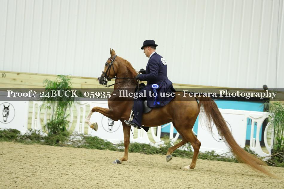 Proof 24BUCK_05935
