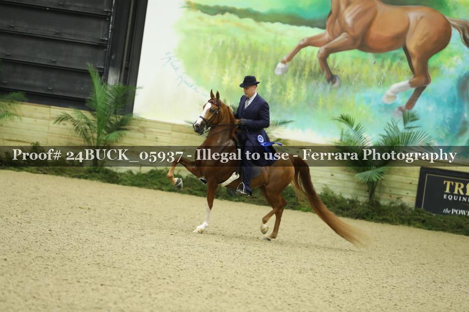 Proof 24BUCK_05937