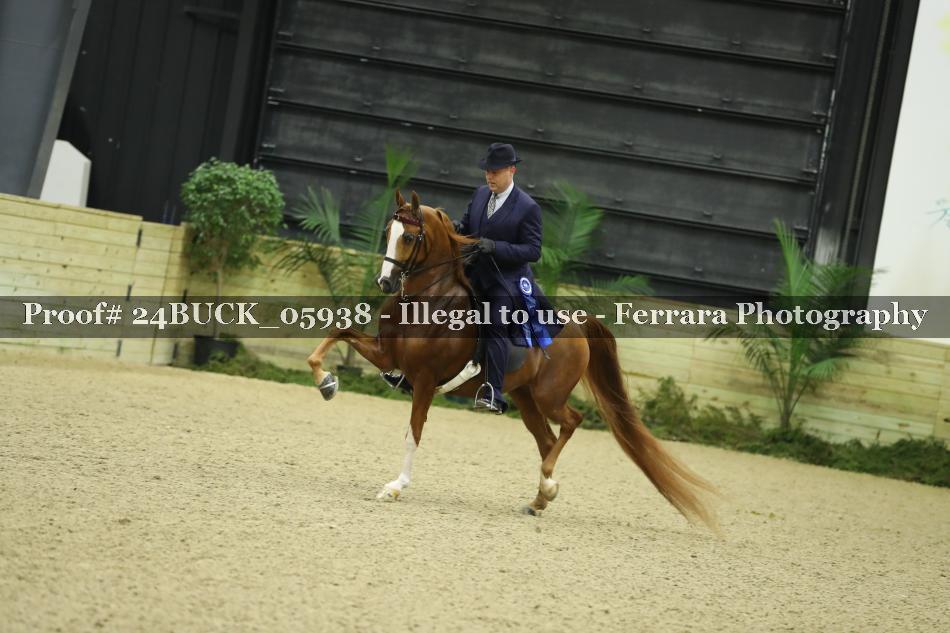 Proof 24BUCK_05938