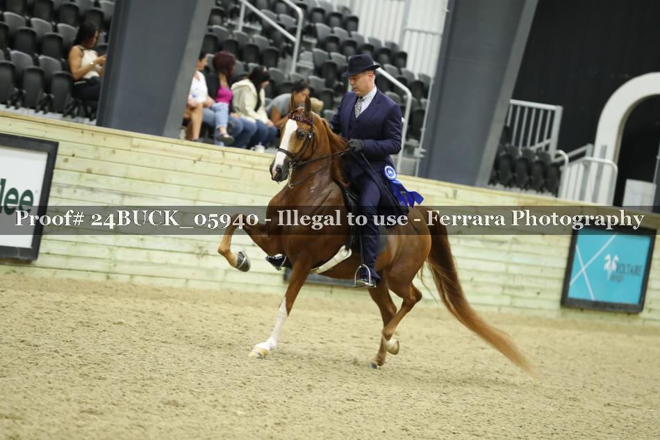 Proof 24BUCK_05940