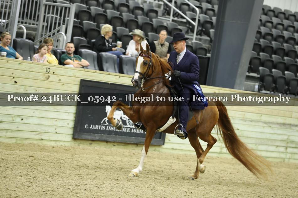 Proof 24BUCK_05942