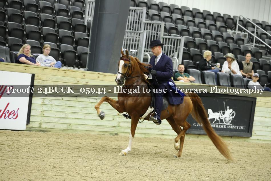 Proof 24BUCK_05943