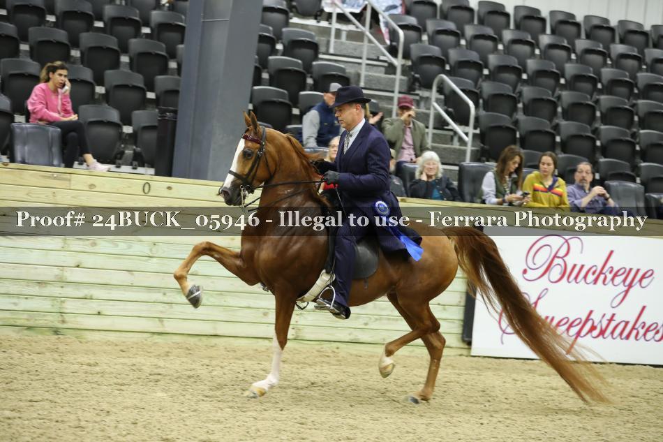 Proof 24BUCK_05946