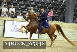 24BUCK_05948 proof