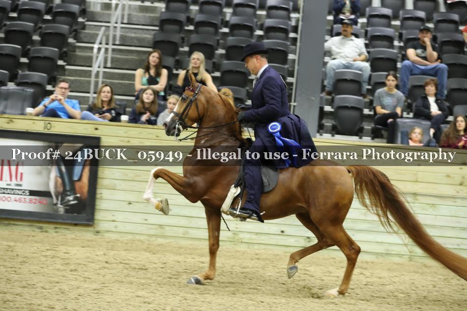 Proof 24BUCK_05949