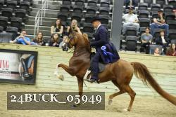 24BUCK_05949 proof