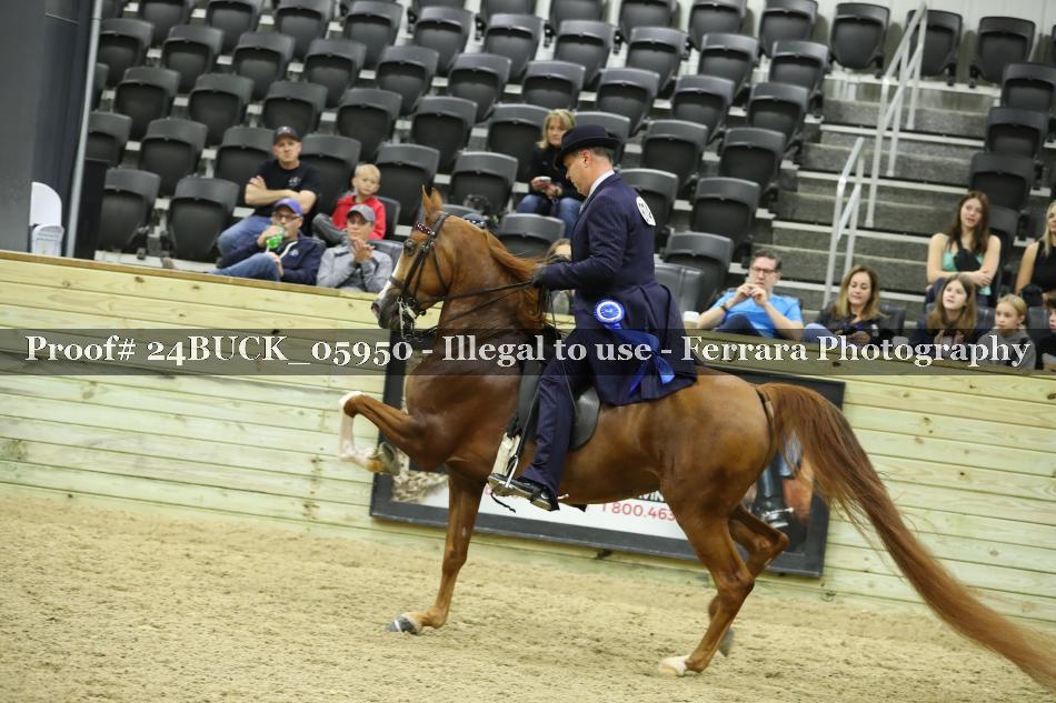 Proof 24BUCK_05950