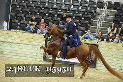 24BUCK_05950 proof