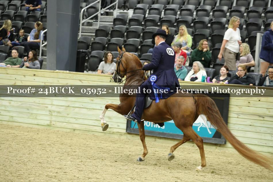 Proof 24BUCK_05952