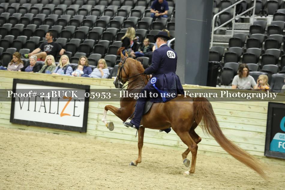 Proof 24BUCK_05953