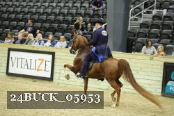 24BUCK_05953 proof