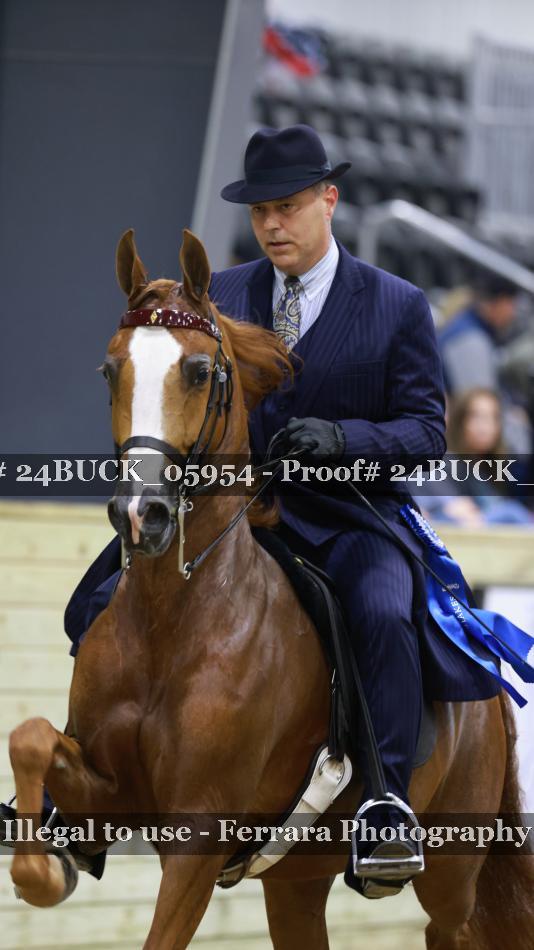 Proof 24BUCK_05954