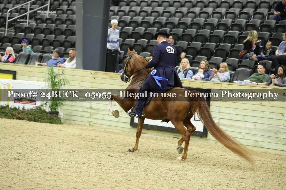 Proof 24BUCK_05955