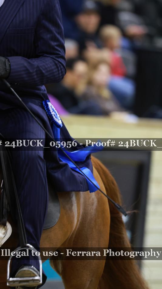Proof 24BUCK_05956