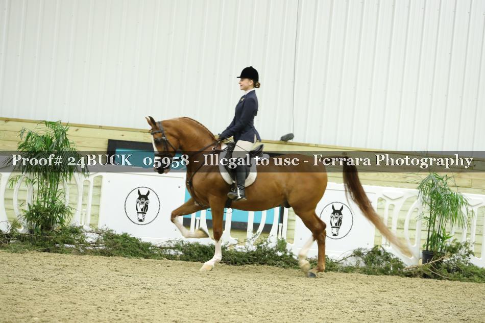 Proof 24BUCK_05958