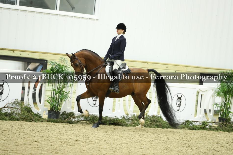Proof 24BUCK_05959