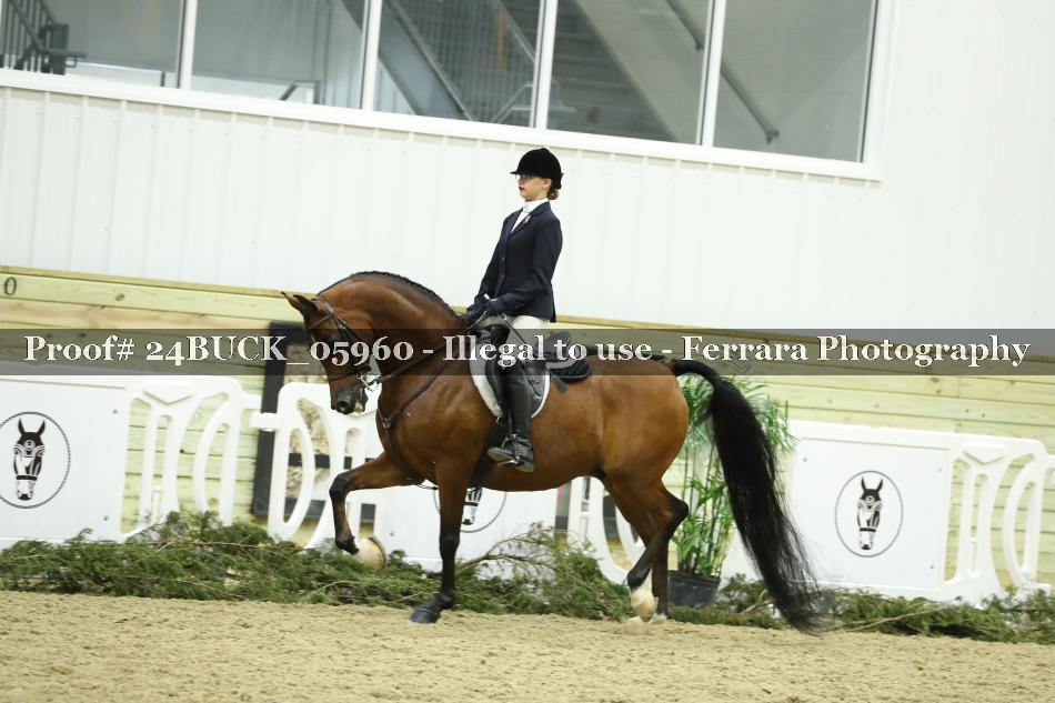 Proof 24BUCK_05960