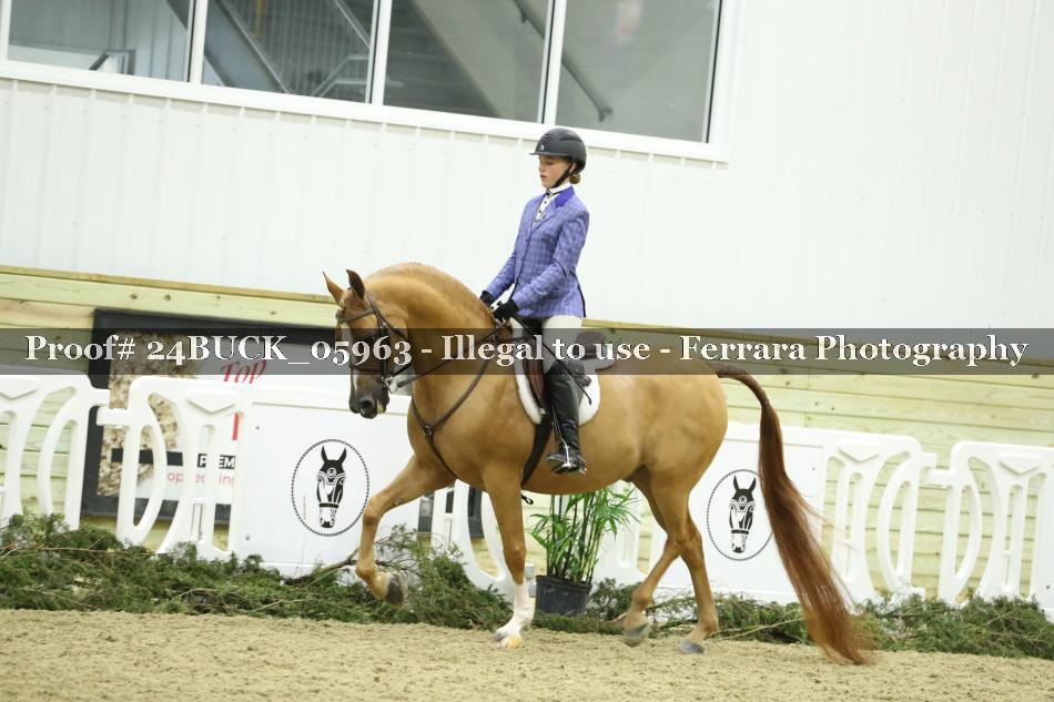 Proof 24BUCK_05963