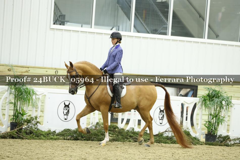 Proof 24BUCK_05964
