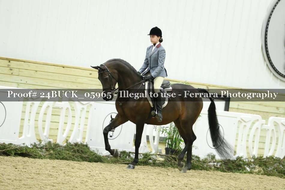 Proof 24BUCK_05965