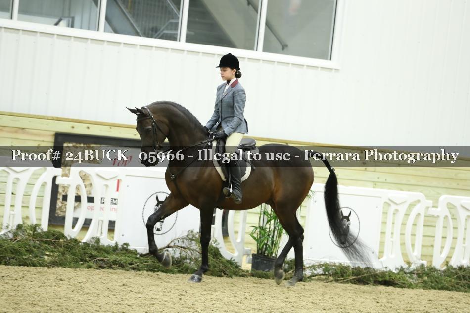 Proof 24BUCK_05966