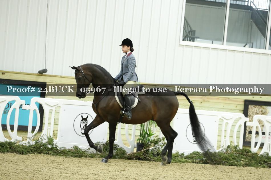 Proof 24BUCK_05967