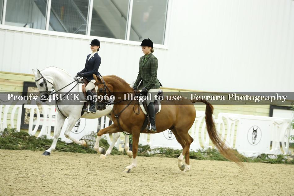 Proof 24BUCK_05969