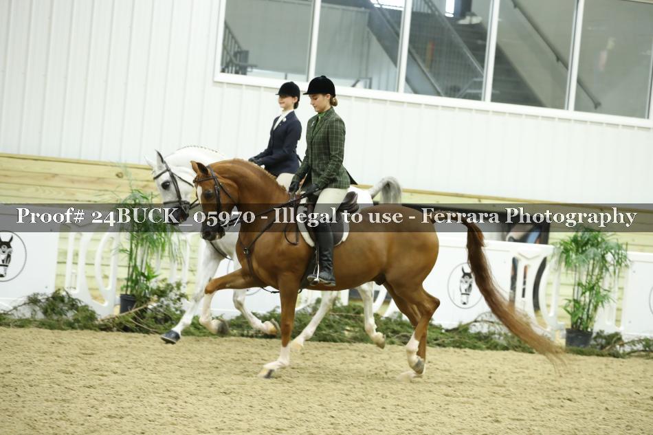 Proof 24BUCK_05970