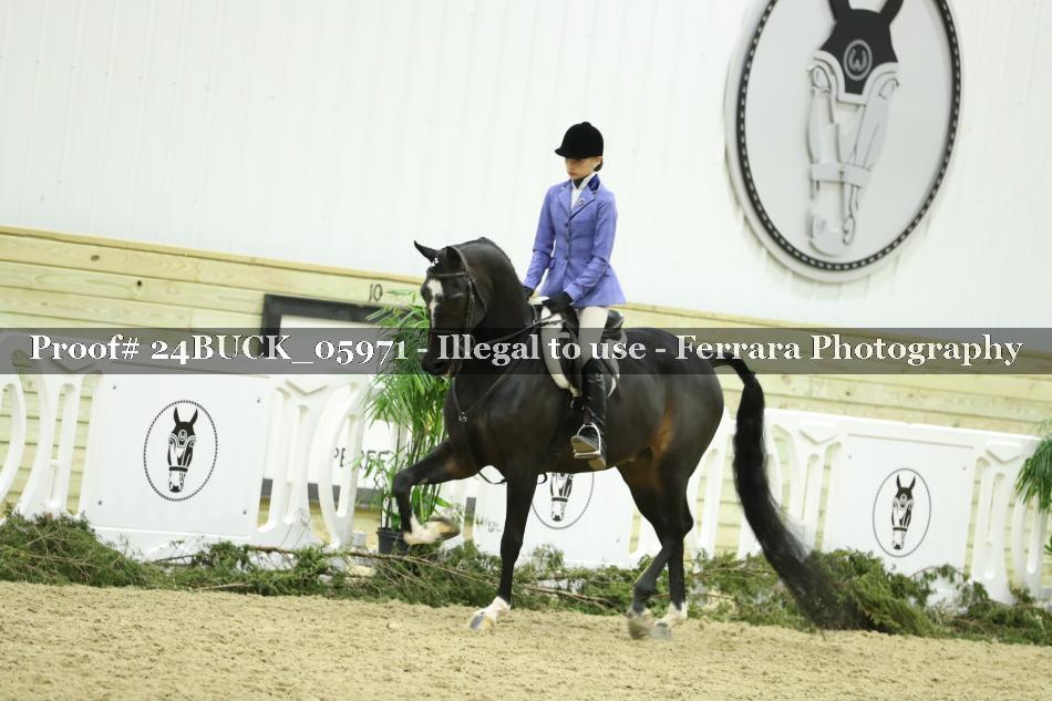 Proof 24BUCK_05971