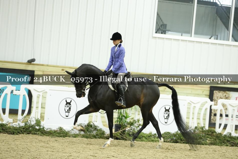 Proof 24BUCK_05973