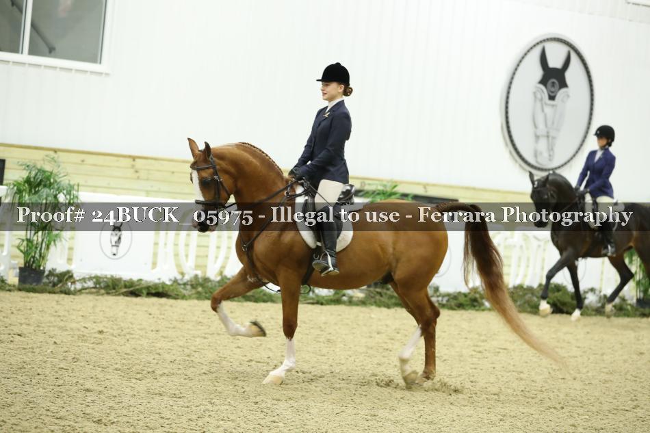 Proof 24BUCK_05975