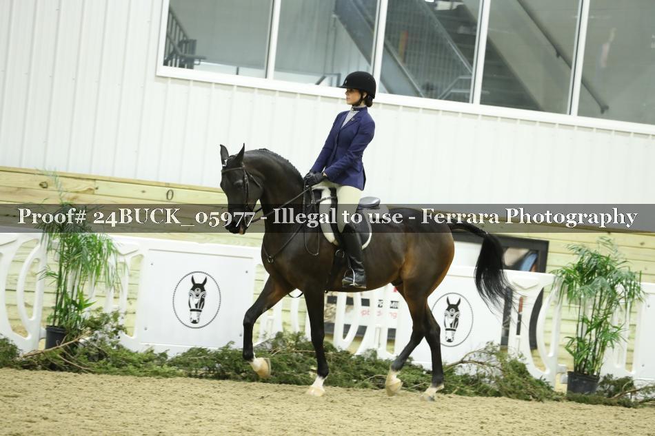 Proof 24BUCK_05977