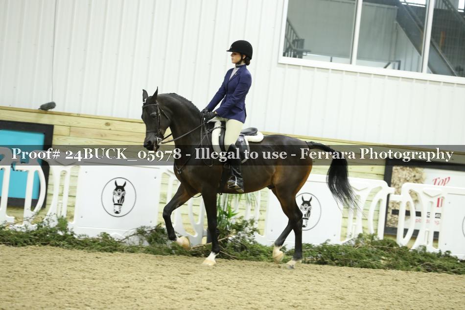 Proof 24BUCK_05978