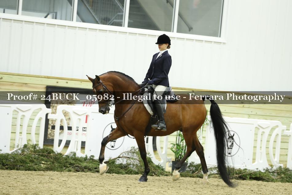 Proof 24BUCK_05982