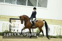 24BUCK_05982 proof
