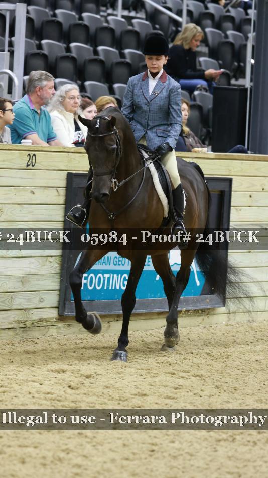 Proof 24BUCK_05984