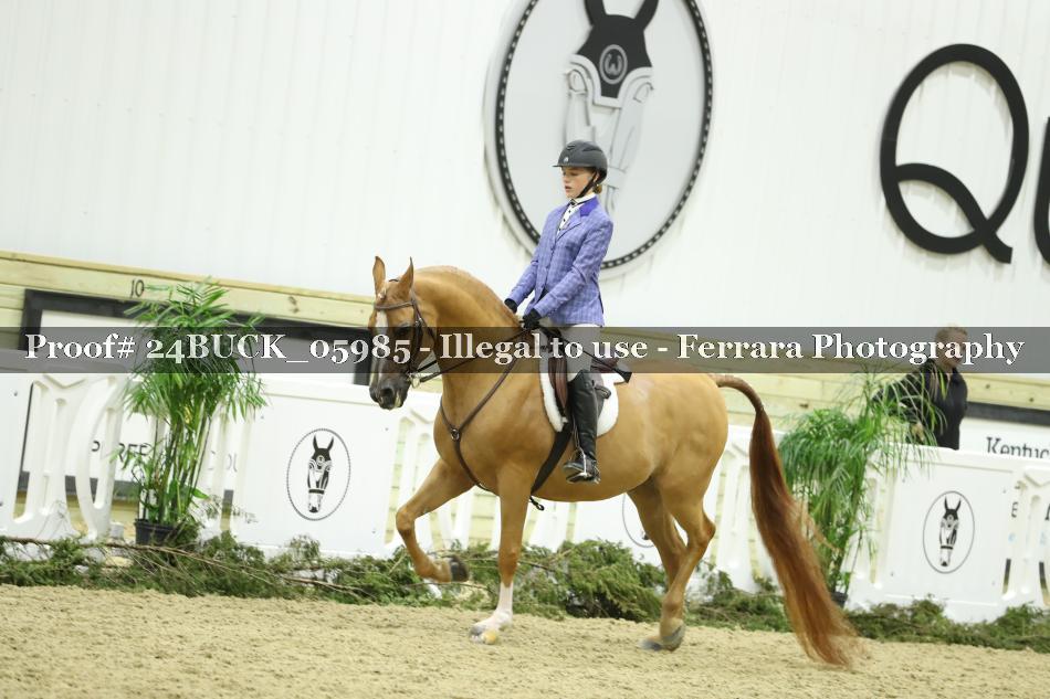 Proof 24BUCK_05985