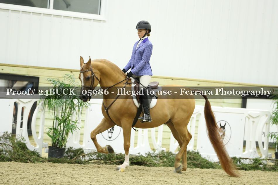 Proof 24BUCK_05986
