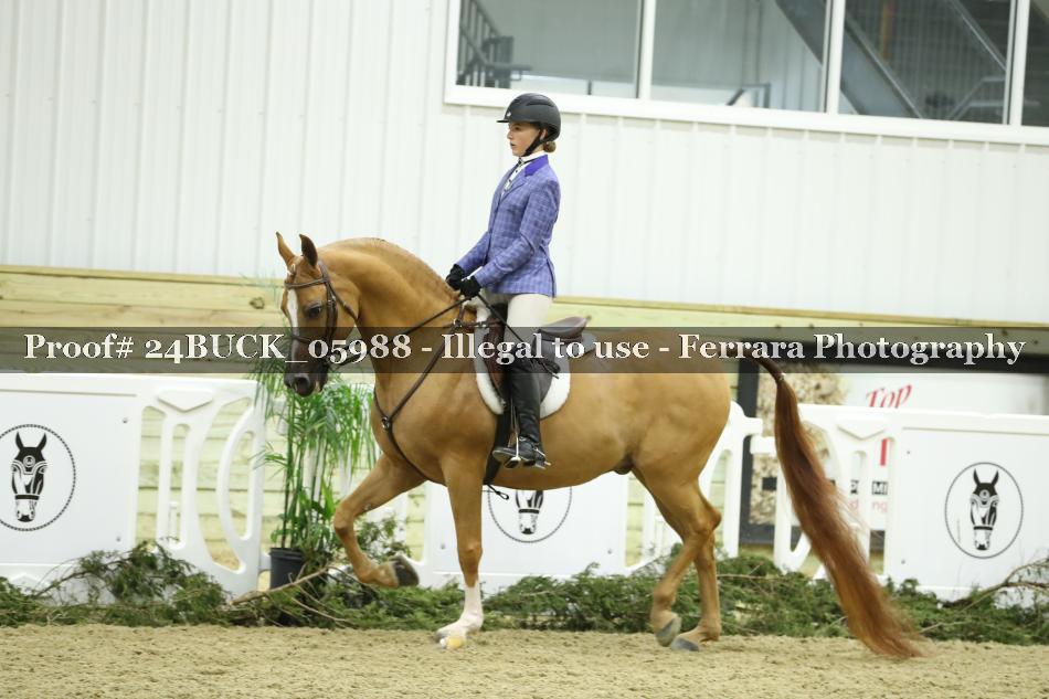 Proof 24BUCK_05988